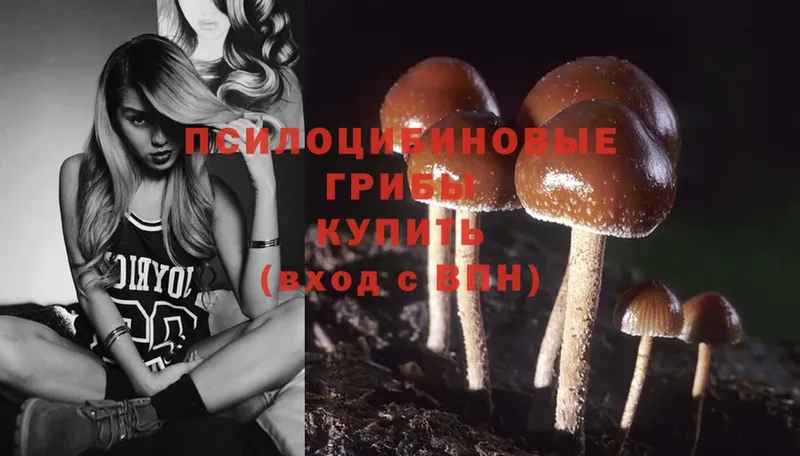 Псилоцибиновые грибы Magic Shrooms  Верхний Уфалей 